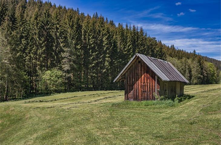 Enhancing Shed Security with Durable Hinges - Blogs - 1