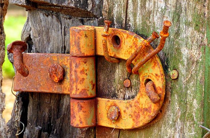 Discovering Unique Old Hinges for Sale - Blogs - 3