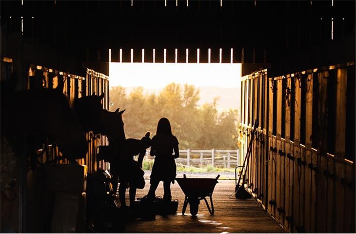 Essential Guide to Heavy Duty Barn Hinges - Blogs - 2