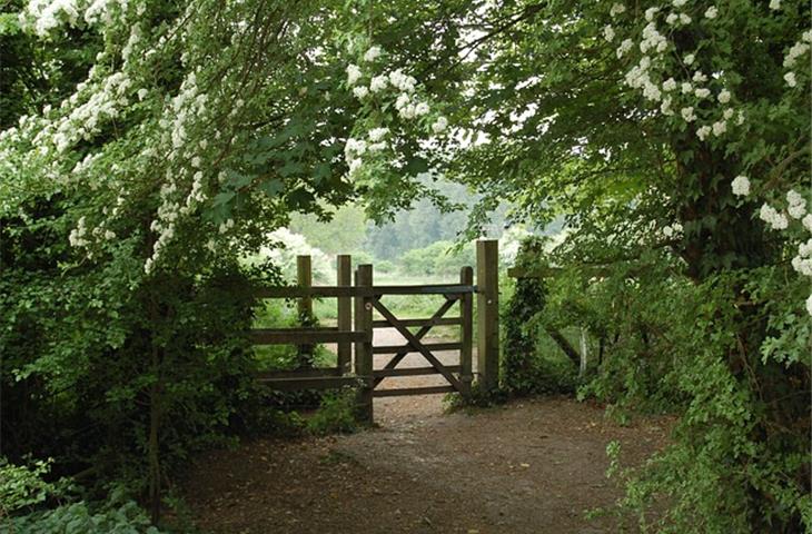 Heavy-Duty Fence Gate Hinges: A Comprehensive Guide - Blogs - 2