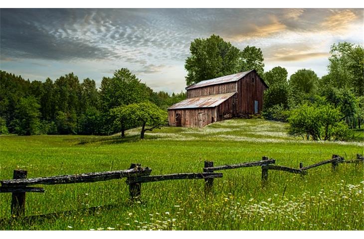 The Essential Guide to Barn Style Hinges - Blogs - 1