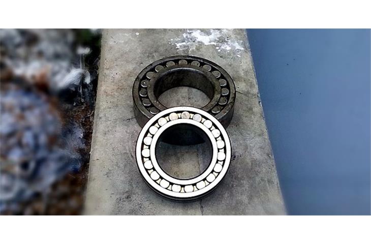 Essential Ball Bearings for Gate Mechanisms - Blogs - 1