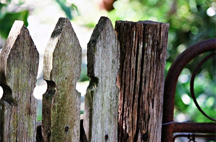 The Essential Guide to Wood Fence Gate Hinges - Blogs - 3