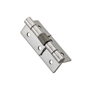 CL253-6 Stainless Steel Hinges